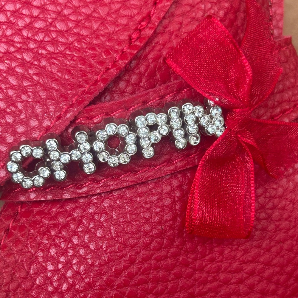 Chopin Roma Italy crossbody Dachshund purse handbag wiener dog red pebbled EUC - Picture 7 of 14